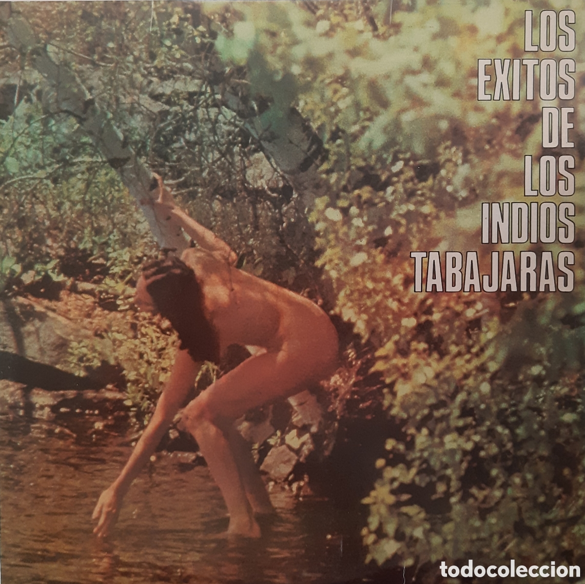 Discos de vinilo: Los &eacute;xitos de los Indios Tabajaras. 2 vinilos - Foto 1