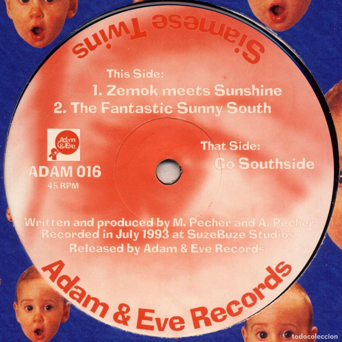 Discos de vinilo: We Are Twins (12&rdquo; Maxi) - Siamese Twins - Foto 1