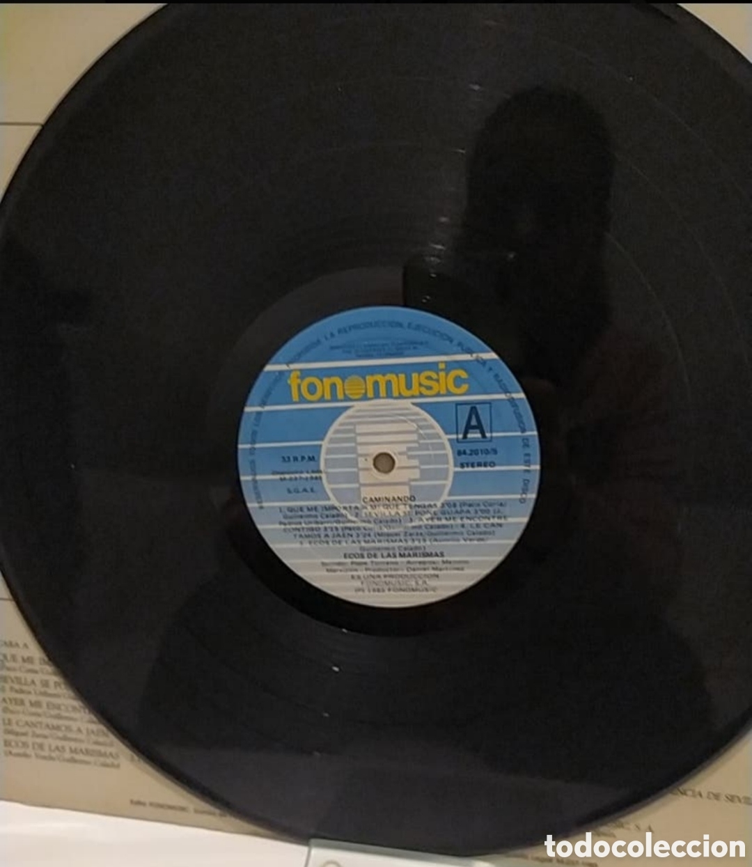 Discos de vinilo: Lp Ecos de las marismas. Caminando - Foto 3