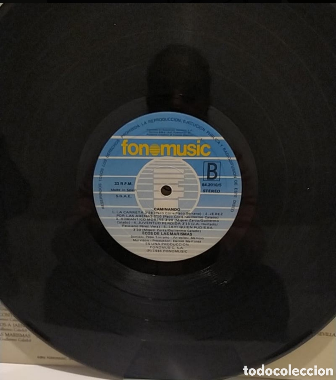 Discos de vinilo: Lp Ecos de las marismas. Caminando - Foto 4
