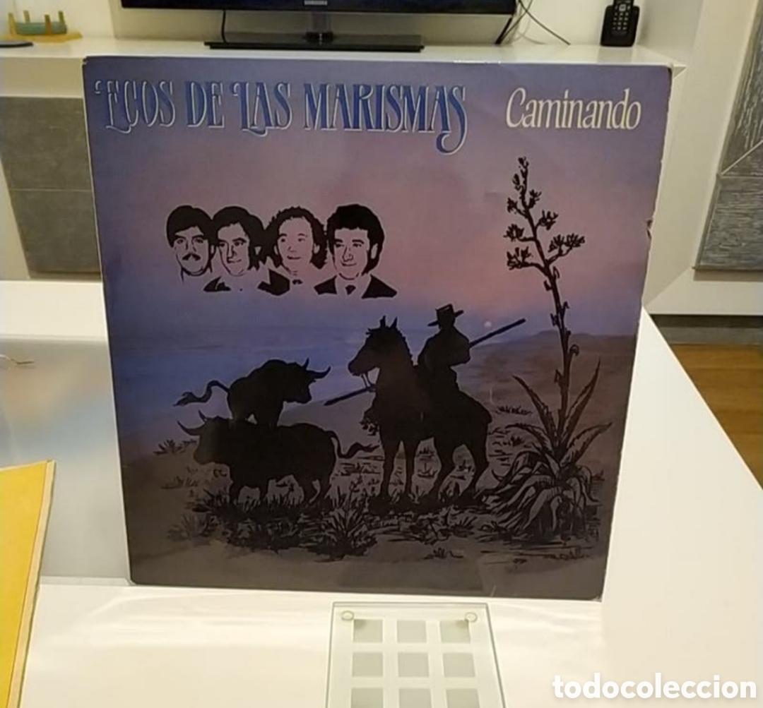 Discos de vinilo: Lp Ecos de las marismas. Caminando - Foto 1