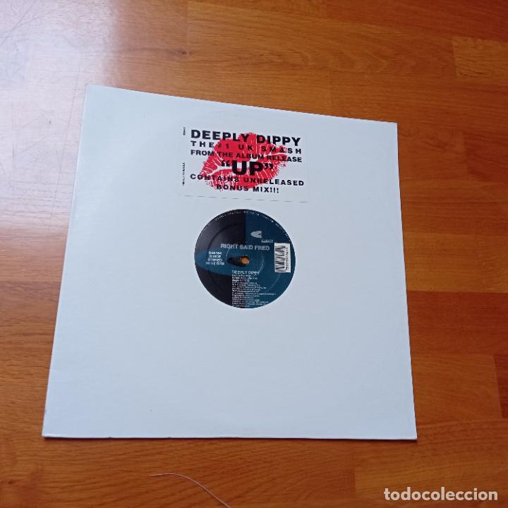 Discos de vinilo: Right said fred-deeply dippy maxi - Foto 1