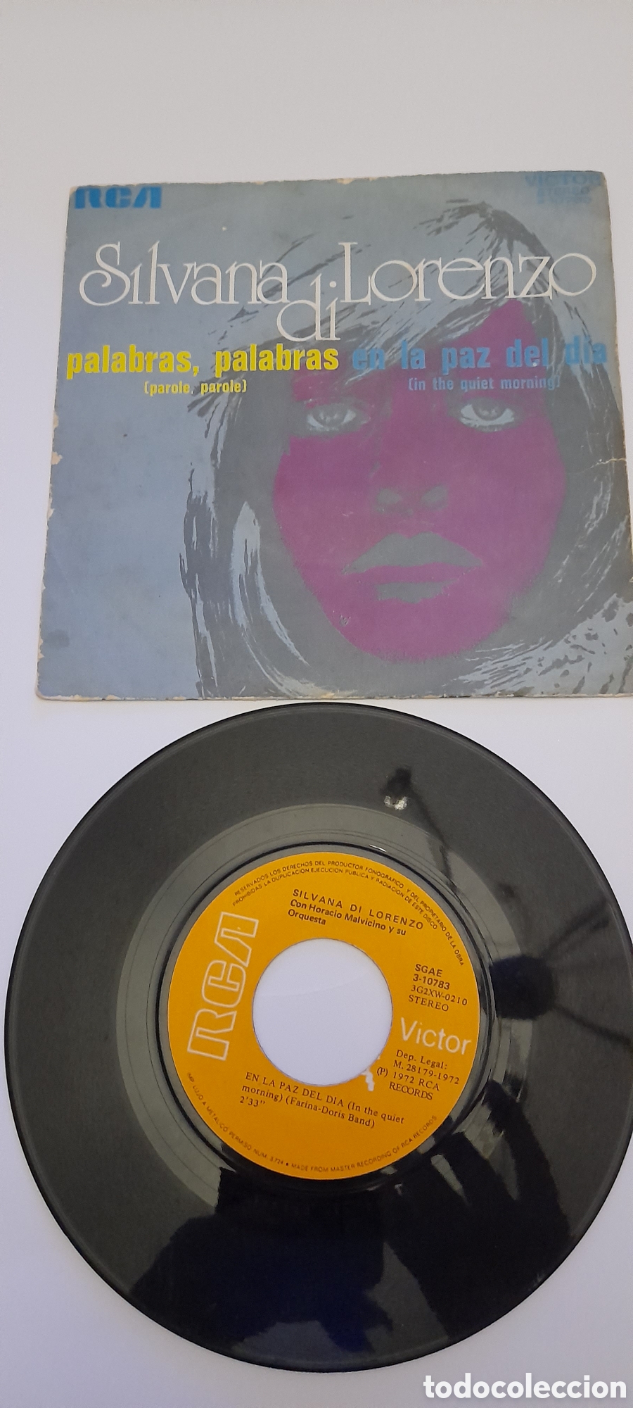 Discos de vinilo: Disco vinilo Silvana di Lorenzo - Foto 1