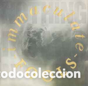 Discos de vinilo: Immaculate Fools - Nothing Means Nothing - Foto 1