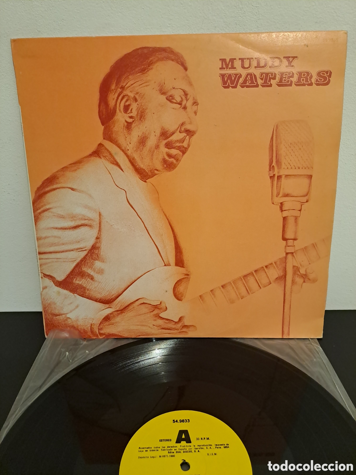 Discos de vinilo: *Muddy Waters&nbsp;&ndash;&nbsp;Mud In Your Ear. LA.3 - Foto 1