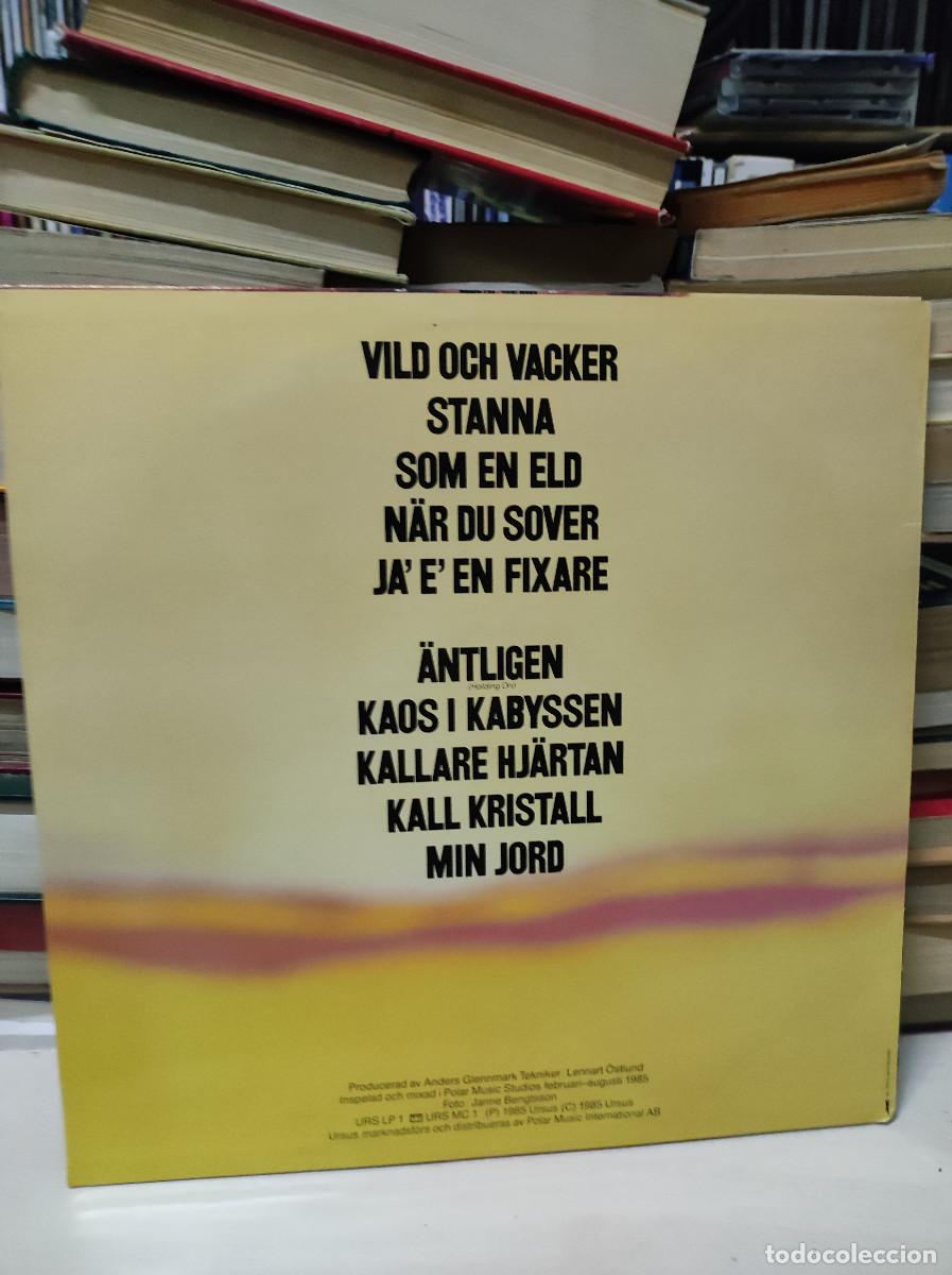 Discos de vinilo: Bj&ouml;rn Skifs &ndash; Vild Honung - Foto 2