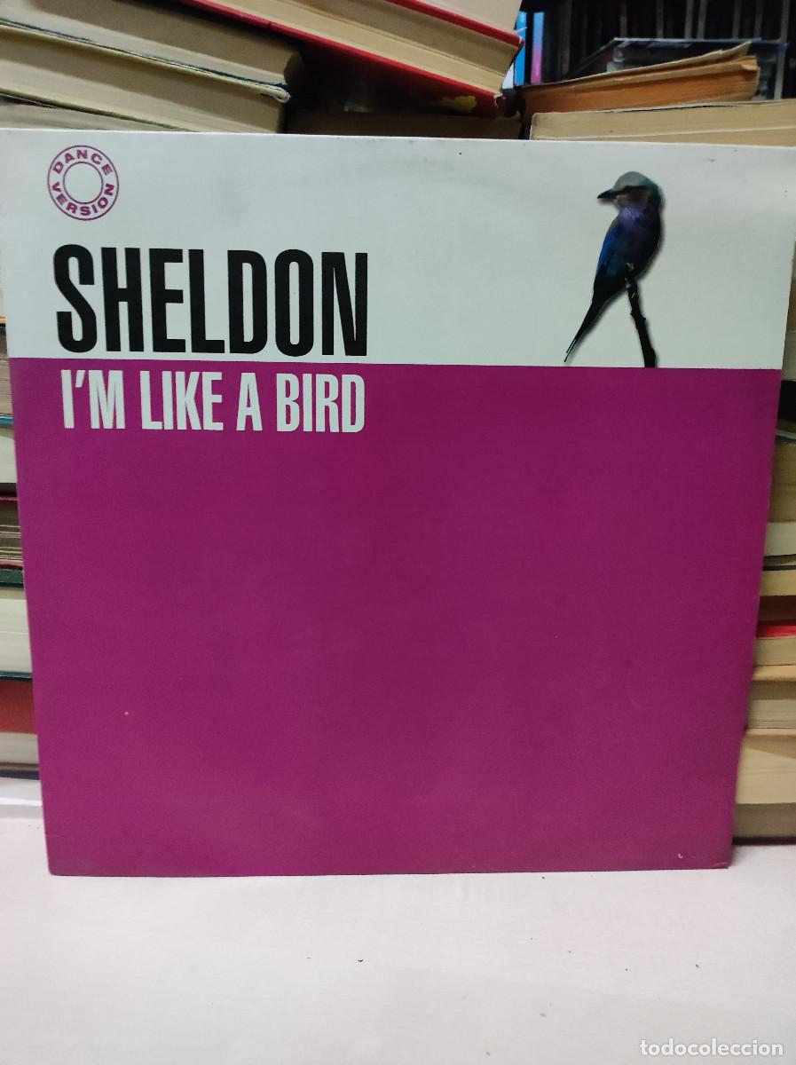 Discos de vinilo: Sheldon &ndash; Im Like A Bird - Foto 1