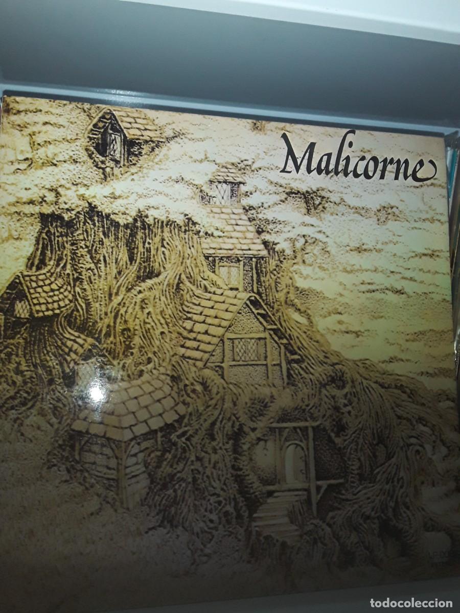 Discos de vinilo: Malicorne &lrm;&ndash; Malicorne - LP - Foto 1
