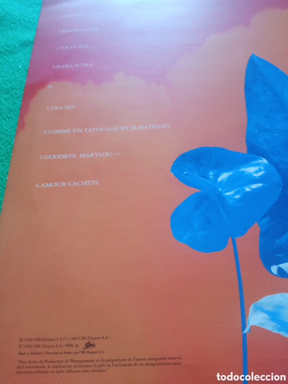 Discos de vinilo: Michel Polnareff - Kama - Sutra - Foto 2