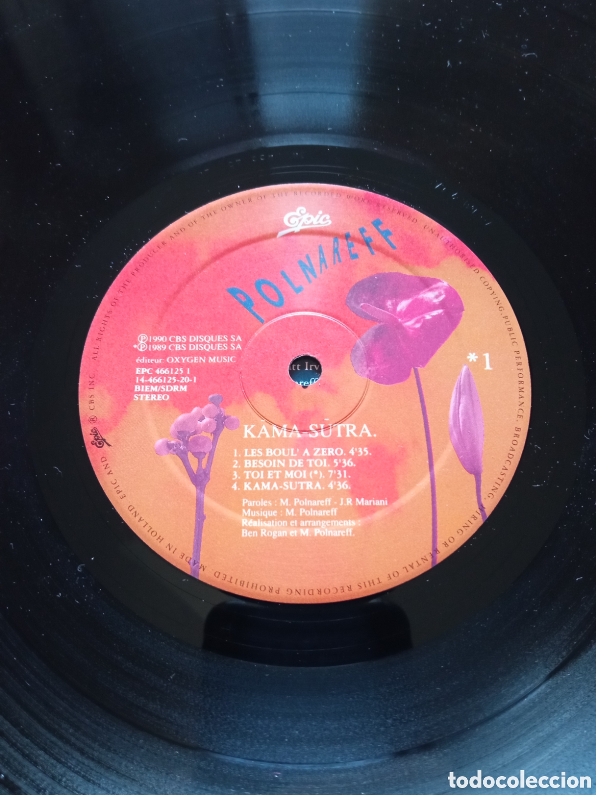 Discos de vinilo: Michel Polnareff - Kama - Sutra - Foto 5