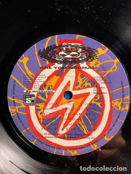 Discos de vinilo: Neds Atomic Dustbin &ndash; Are You Normal? - Foto 5