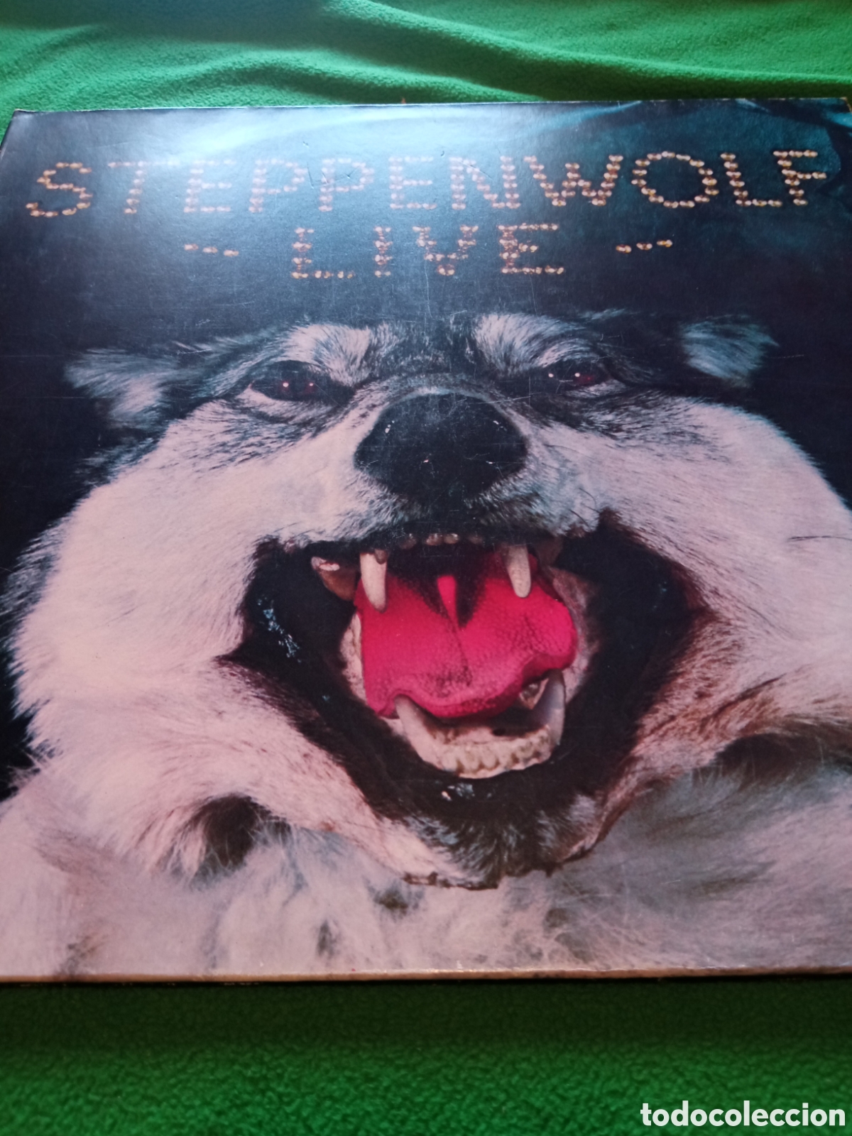 Discos de vinilo: Steppenwolf - Vinilo Lp - Foto 1