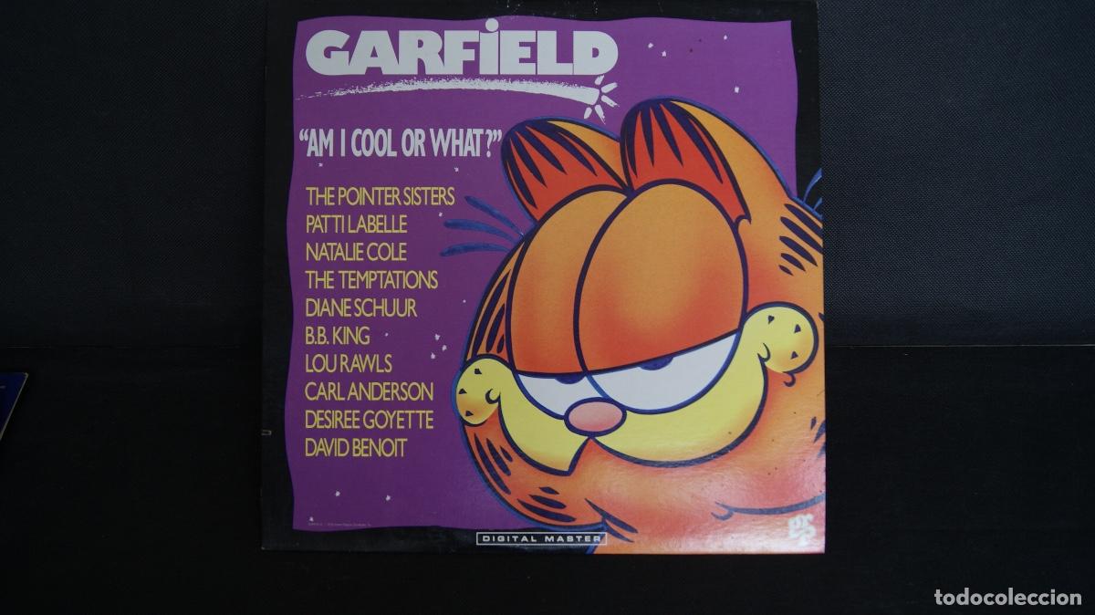 Discos de vinilo: GARFIELD - AM I COOL OR WHAT? - Foto 1