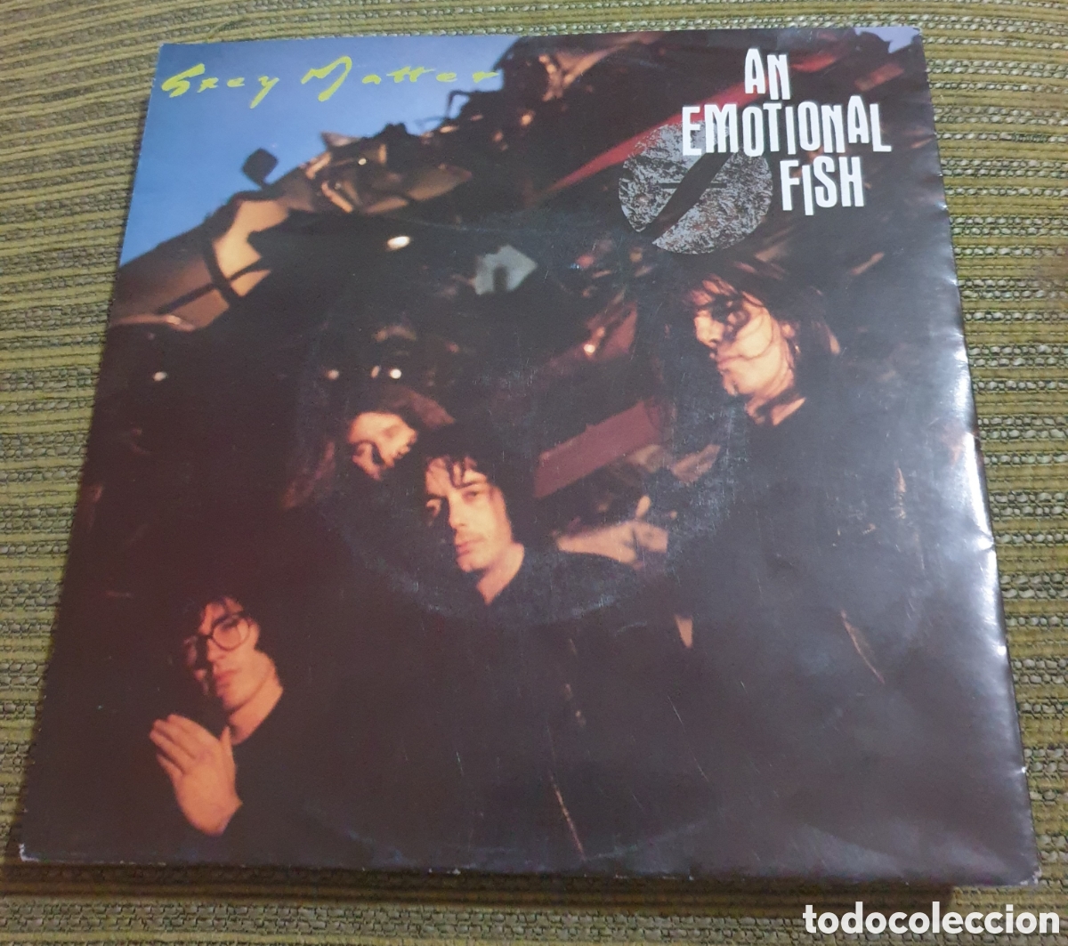Discos de vinilo: An emotional fish - grey matter - Foto 1