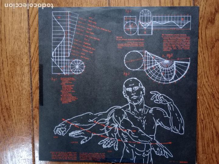 Discos de vinilo: Lene Lovich - flex - Foto 3