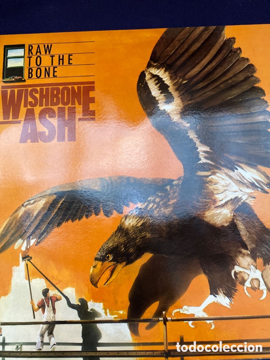 Discos de vinilo: Wishbone Ash - Raw to the bone LP 1985 - Foto 1