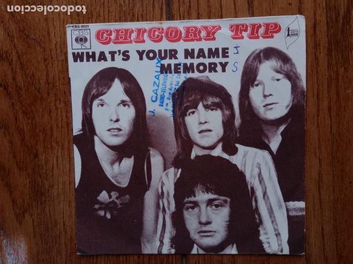 Discos de vinilo: Chicory tip - whats tour name + memory - Foto 1