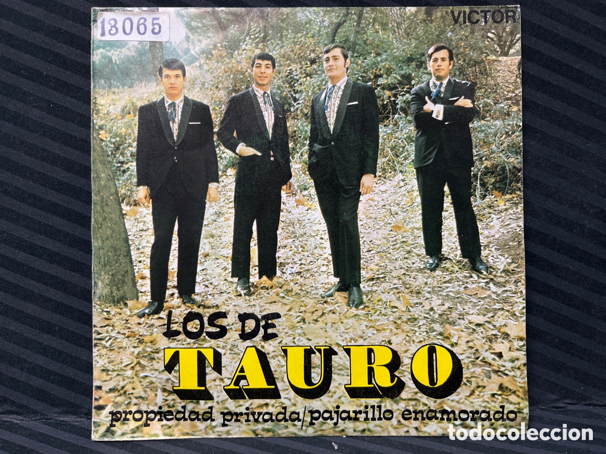Discos de vinilo: Los De Tauro - Propiedad Privada (7&rdquo;, Single) - Foto 1