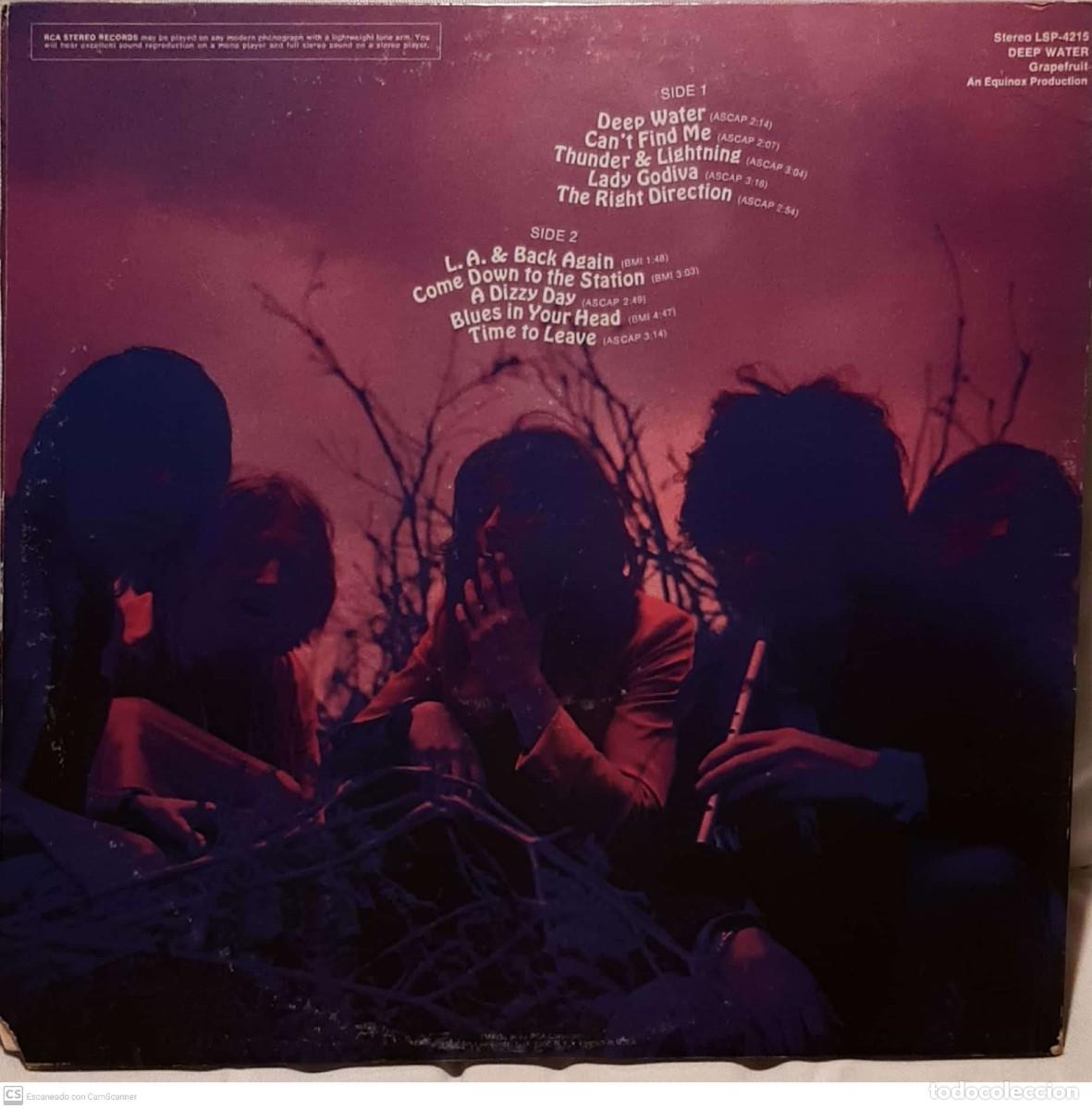 Discos de vinilo: Grapefruit &lrm;&ndash; Deep Water - Foto 3