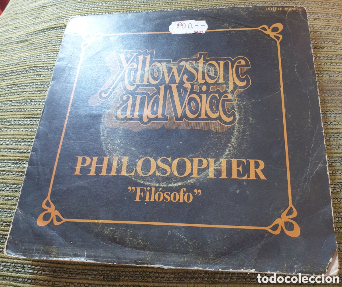 Discos de vinilo: Yellowstone and voice - philosopher - Foto 1