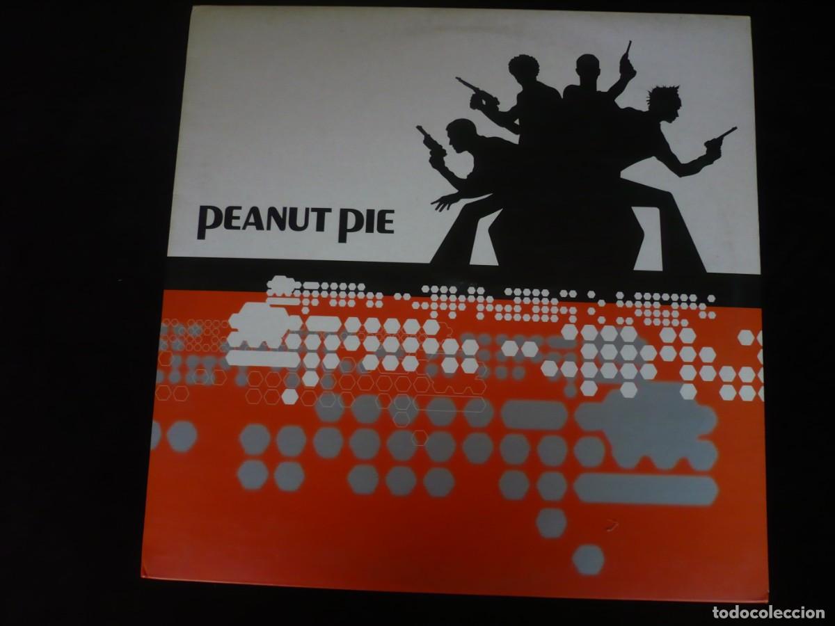 Discos de vinilo: peanut pie - del 1996 con hoja promocional - Foto 1