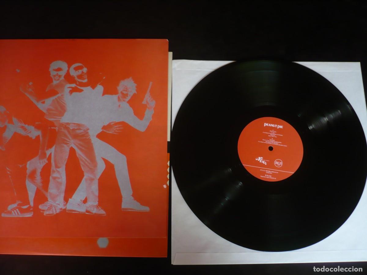 Discos de vinilo: peanut pie - del 1996 con hoja promocional - Foto 4