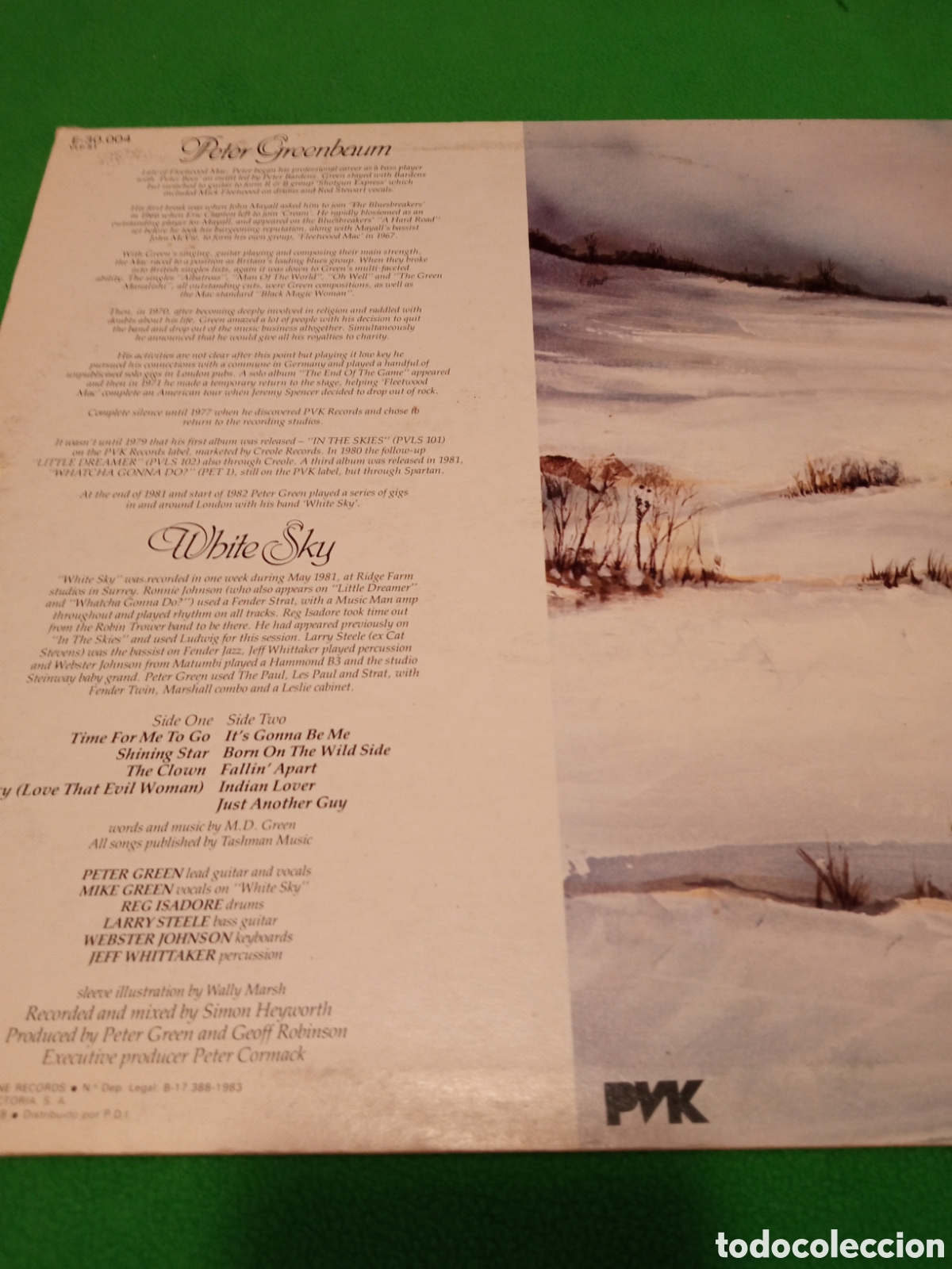 Discos de vinilo: Peter Green - White Sky Vinilo Lp - Foto 2