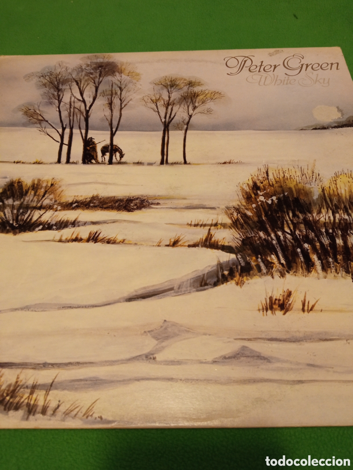 Discos de vinilo: Peter Green - White Sky Vinilo Lp - Foto 1