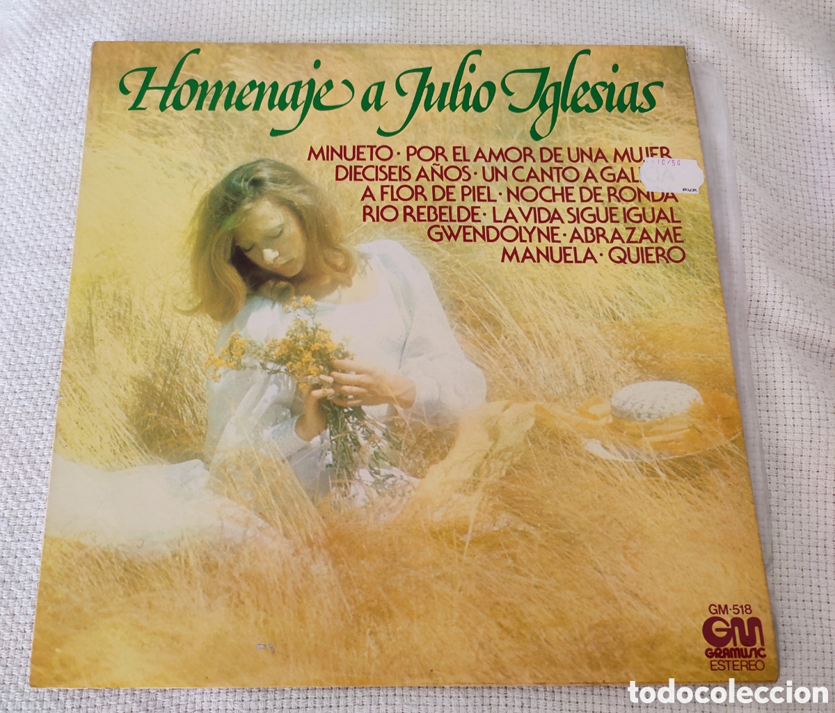 Discos de vinilo: Homenaje a Julio Iglesias - Foto 1