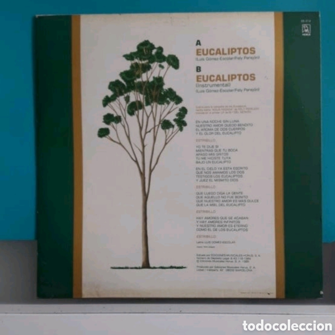 Discos de vinilo: Maxi single Mar&iacute;a del Monte. Eucaliptos - Foto 2
