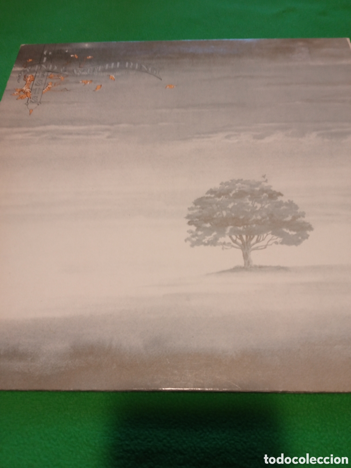 Discos de vinilo: G&eacute;nesis - Wind & Wuthering - Foto 1