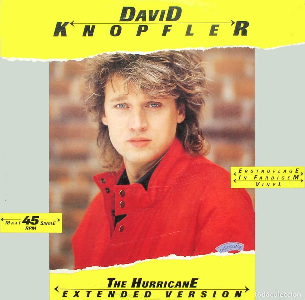 Discos de vinilo: The Hurricane (12&rdquo; Maxi) - Knopfler, David - Foto 1