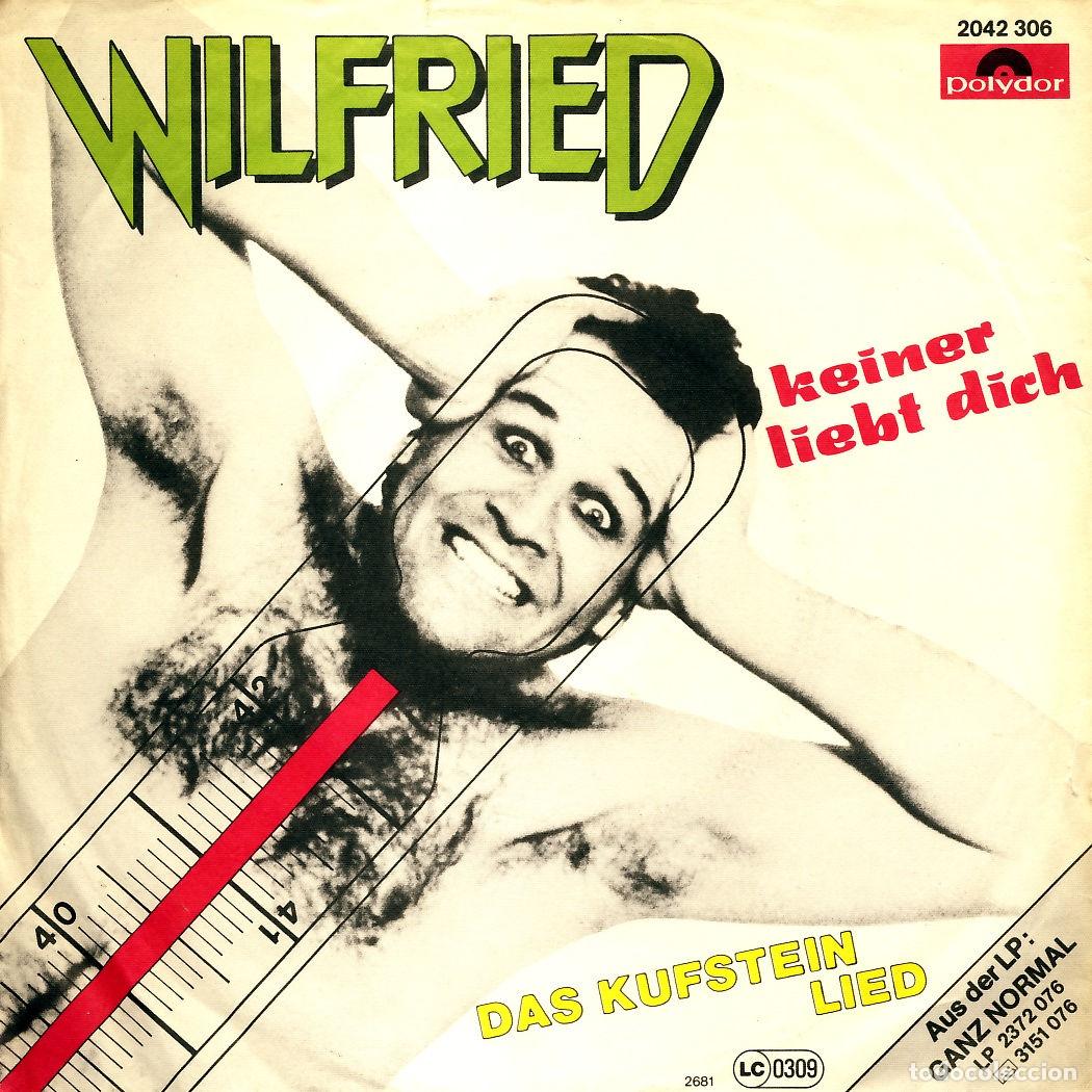 Discos de vinilo: Keiner Liebt Dich (7&rdquo; Single) - Wilfried - Foto 1