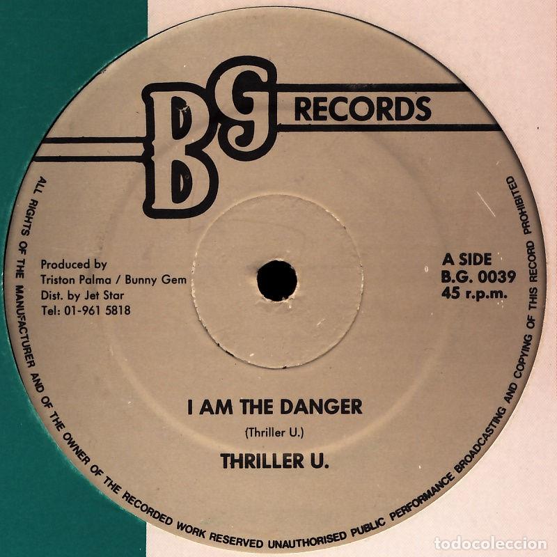 Discos de vinilo: I Am The Danger (12&rdquo; Maxi) - Thriller U. - Foto 1