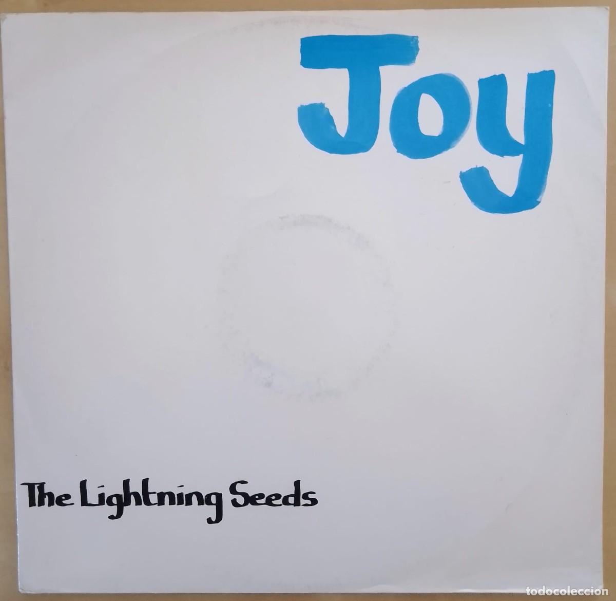 Discos de vinilo: THE LIGHTNING SEEDS -JOY - MAXI 1989 UK - Foto 1