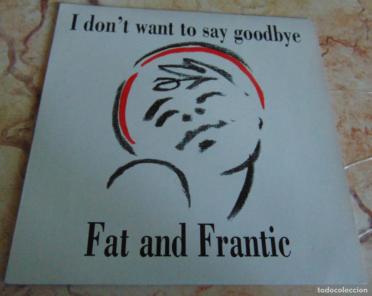 Vinyl records: Fat And Frantic &ndash; I Don't Want To Say Goodbye - SINGLE UK 1990