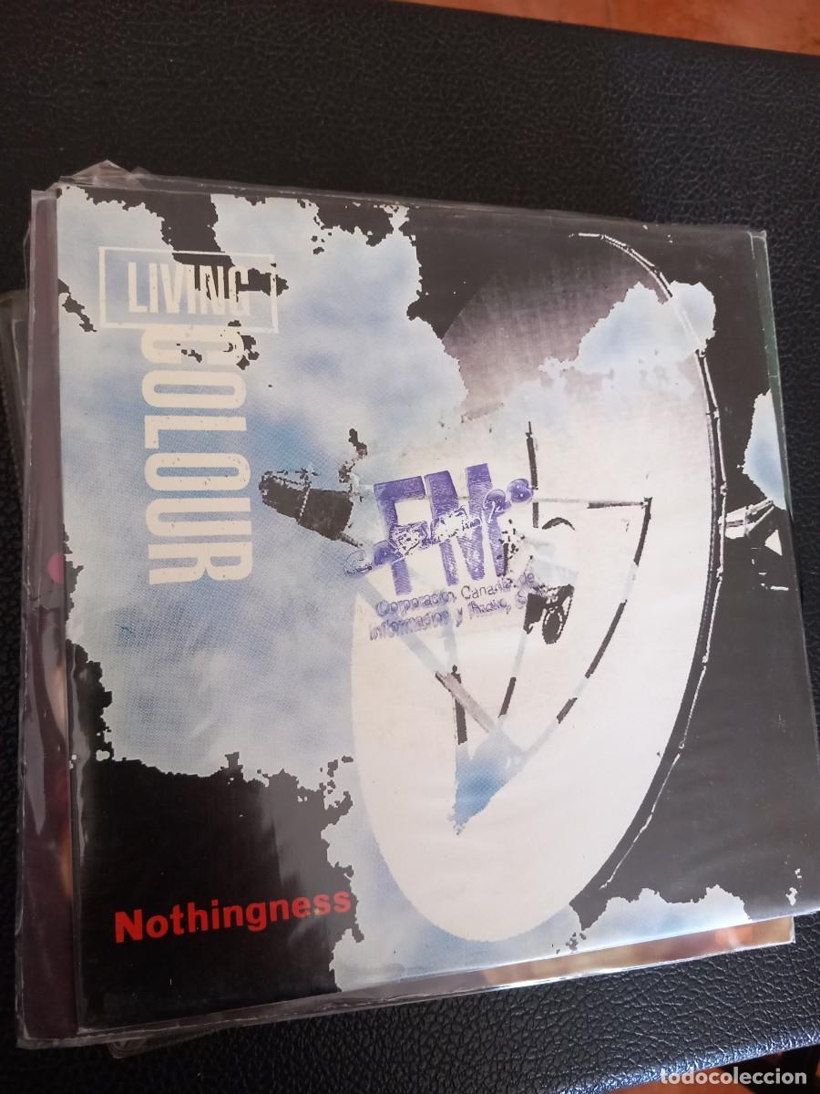 Discos de vinilo: living colour - nothingness - simple - Foto 1