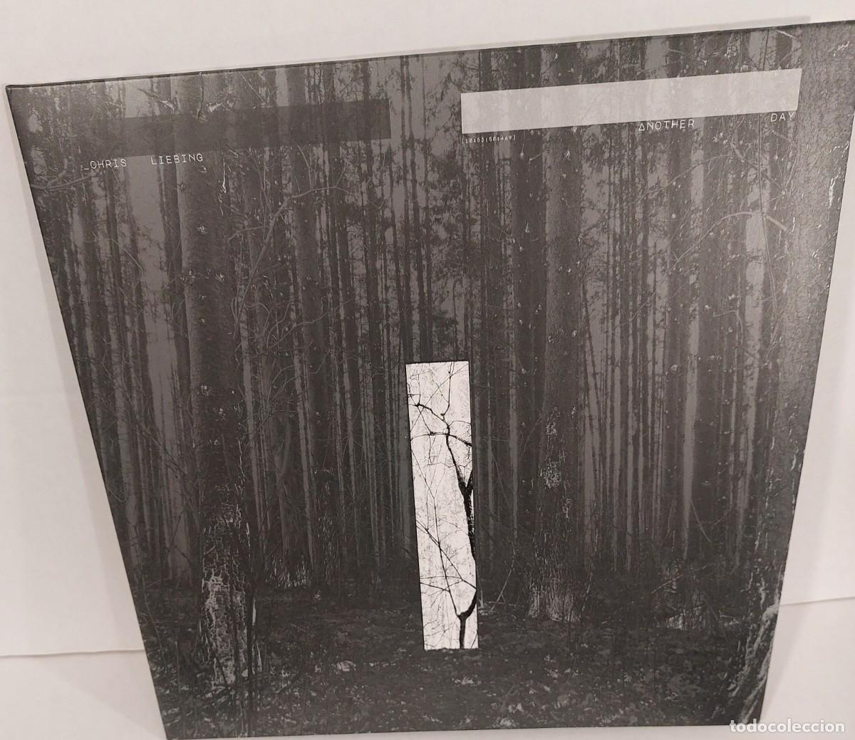 Discos de vinilo: CHRS LIEBING / ANOTHER DAY - Foto 1
