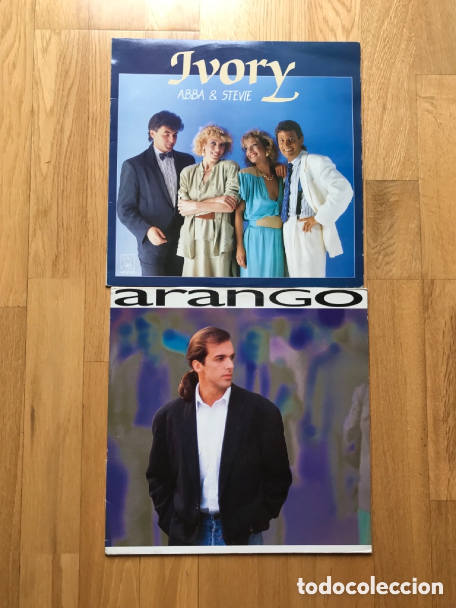Discos de vinilo: Lote 2 vinilos variados - Foto 1