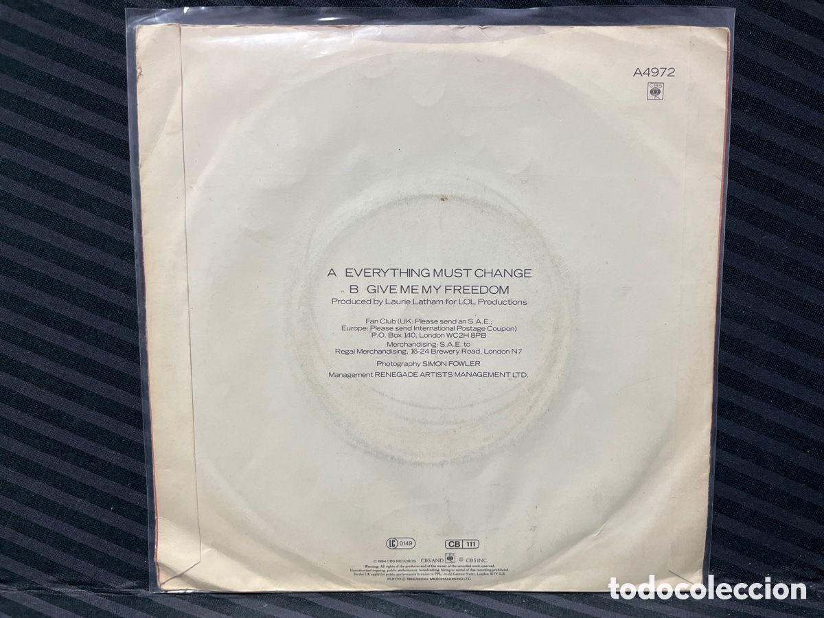Discos de vinilo: Paul Young - Everything Must Change (7&rdquo;, Single) - Foto 2