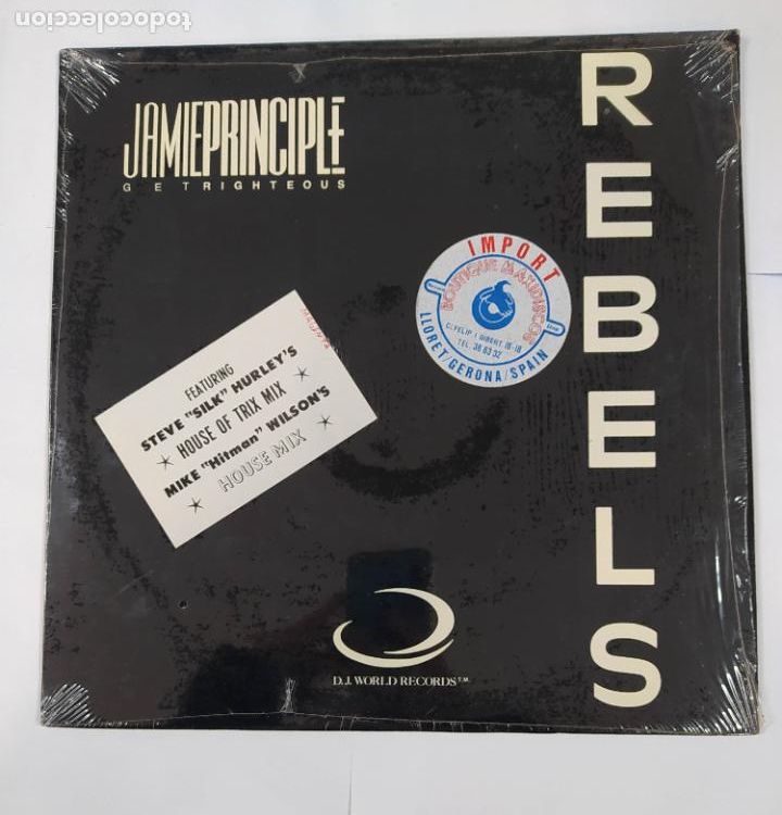 Discos de vinilo: Jamie Principle &ndash; Rebels. MAXI SINGLE. TDKDA30 - Foto 1