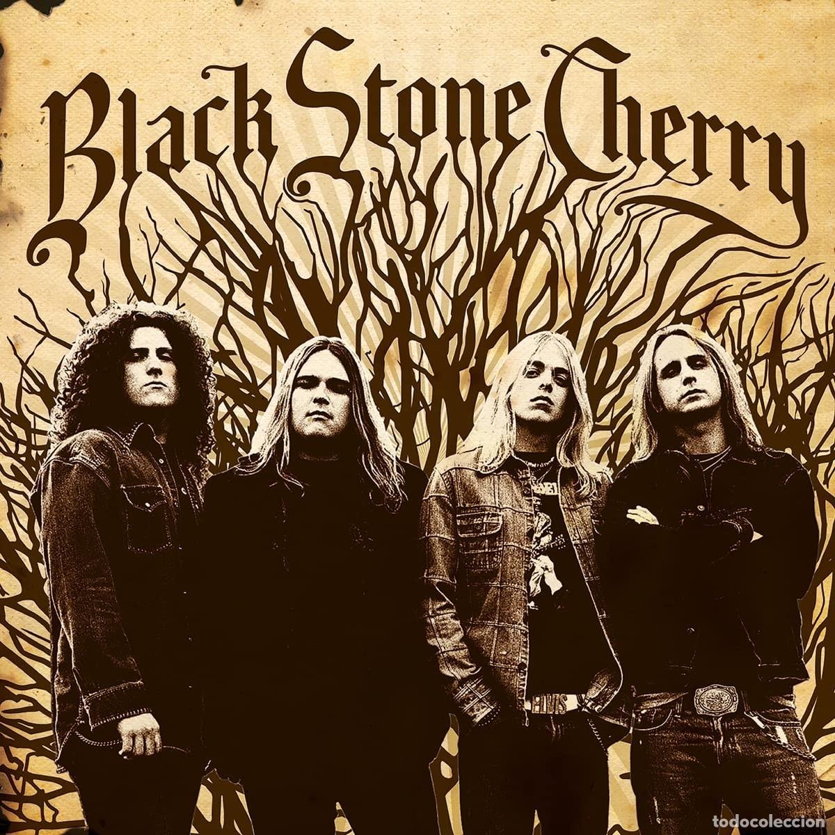Discos de vinilo: LP BLACK STONE CHERRY VINILO 180G - Foto 1