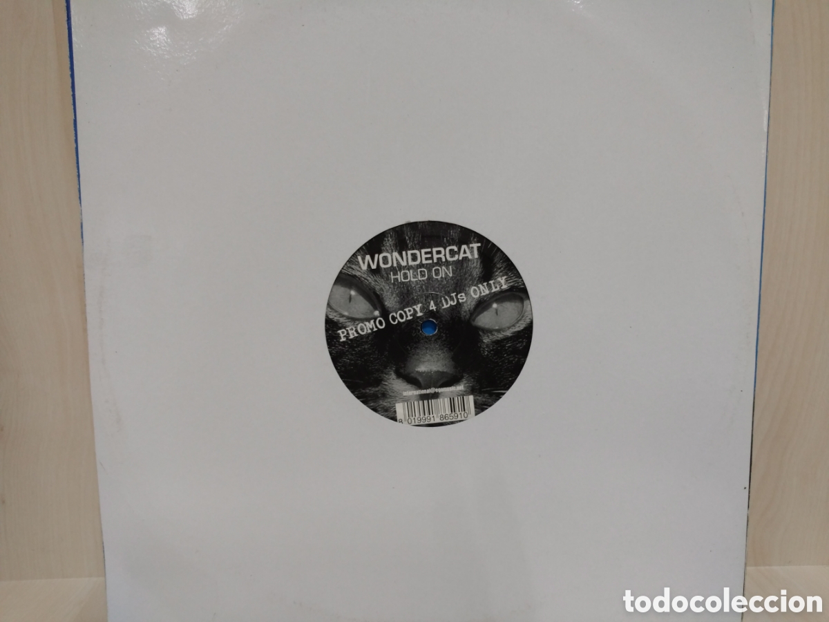 Discos de vinilo: Wondercat - Hold On (12&rdquo;, Maxi) - Foto 1