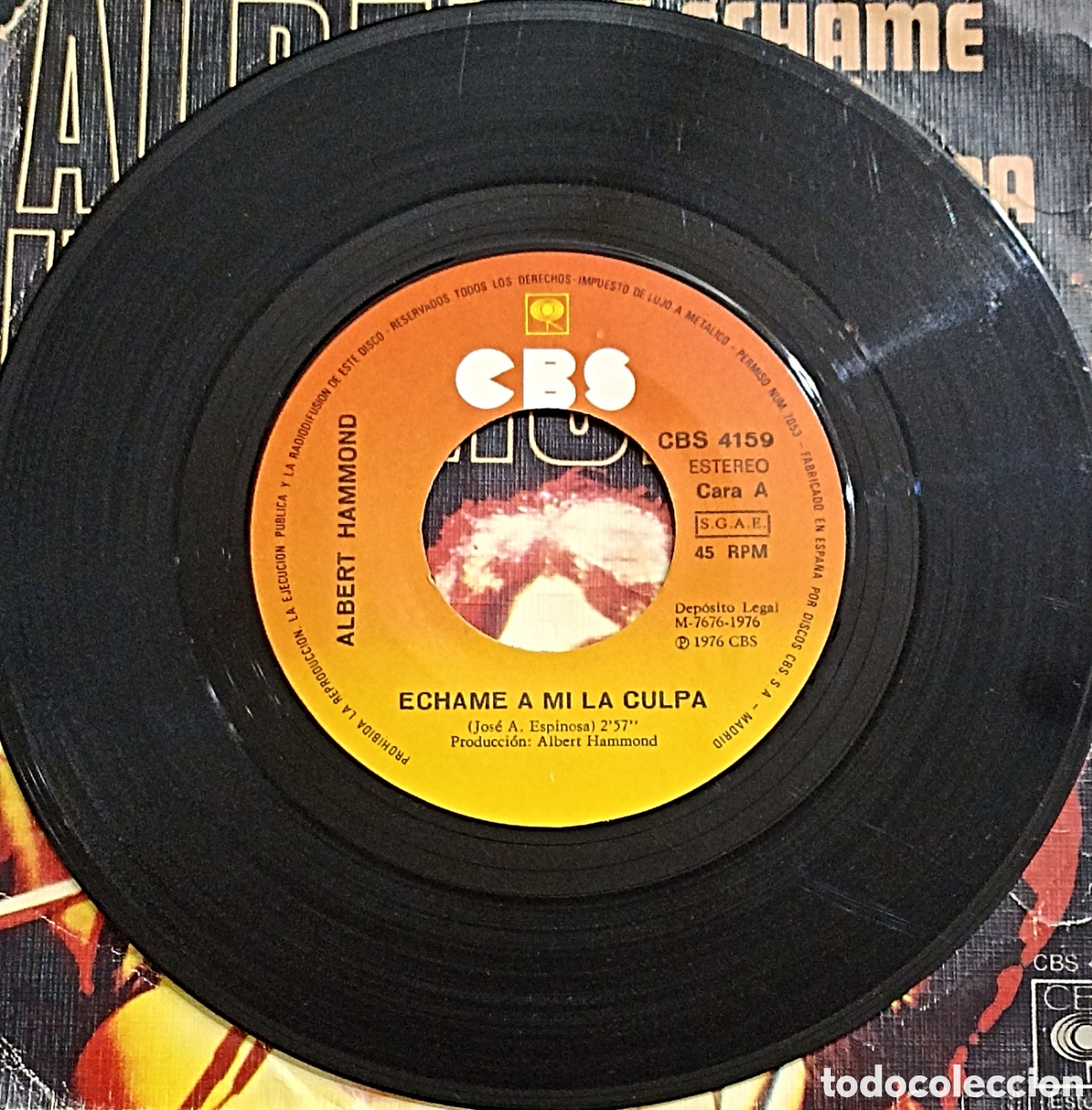 Discos de vinilo: SINGLE ALBERT HAMMOND - ECHAME A MI LA CULPA - CBS 1976 - Foto 3