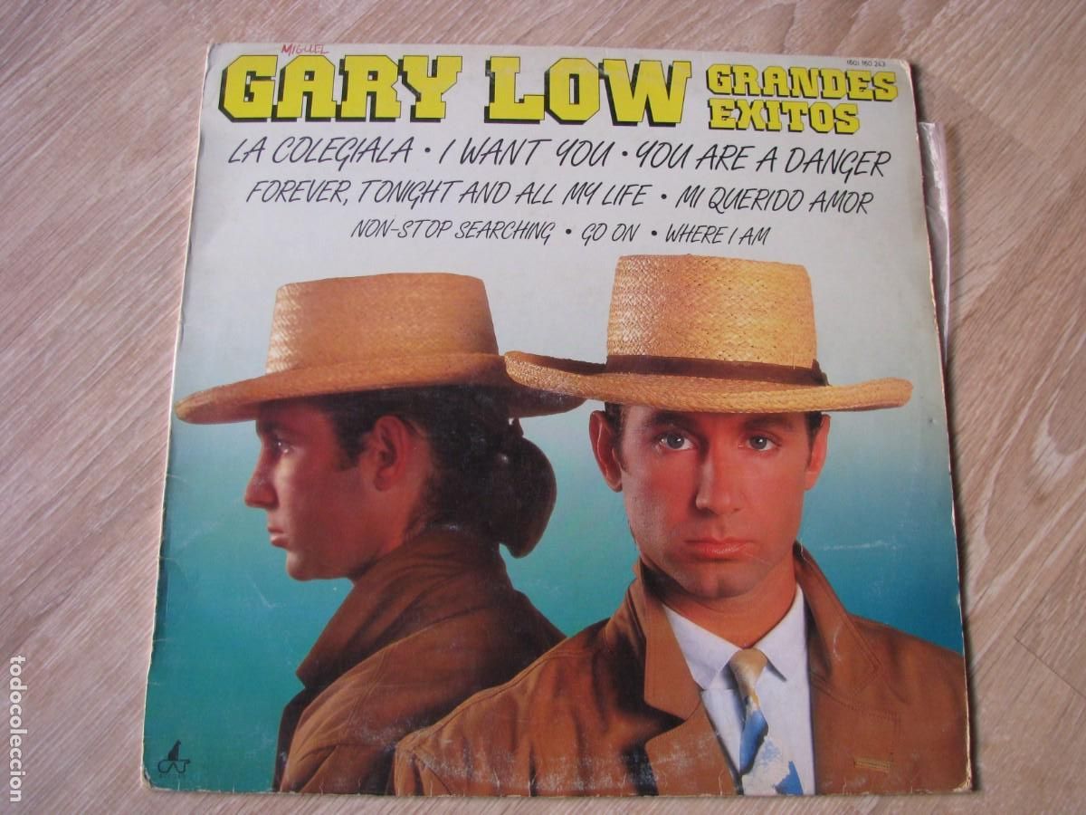 Discos de vinilo: DISCO DE VINILO. GARY LOW GRANDES EXITOS - Foto 1