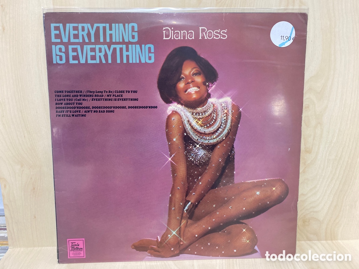Discos de vinilo: Diana Ross - Everything Is Everything (LP, Album) - Foto 1