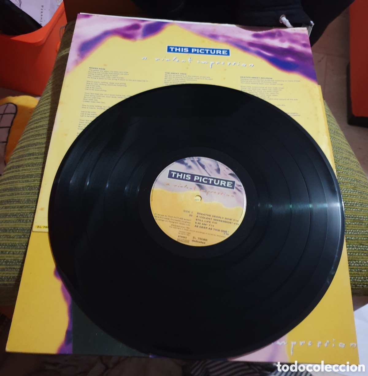 Discos de vinilo: This picture - a violent expression - Foto 2