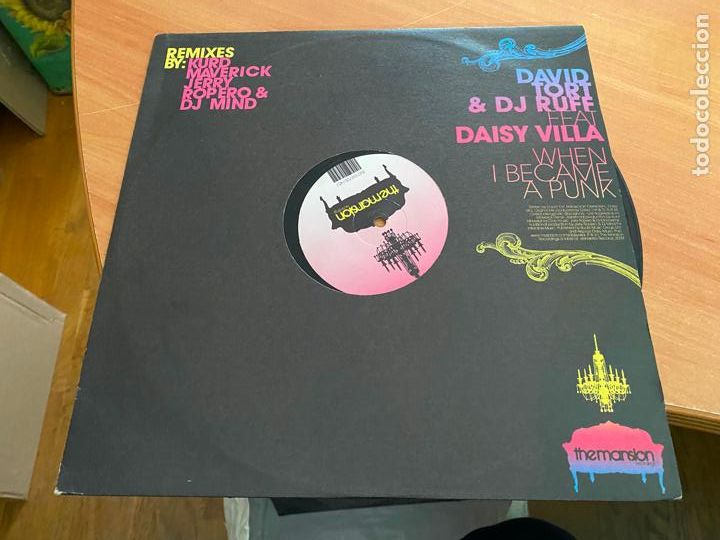 Discos de vinilo: DAVID TORT & DJ RUFF (WHEN I BECAME PUNK) MAXI SINGLE (B-58) - Foto 1
