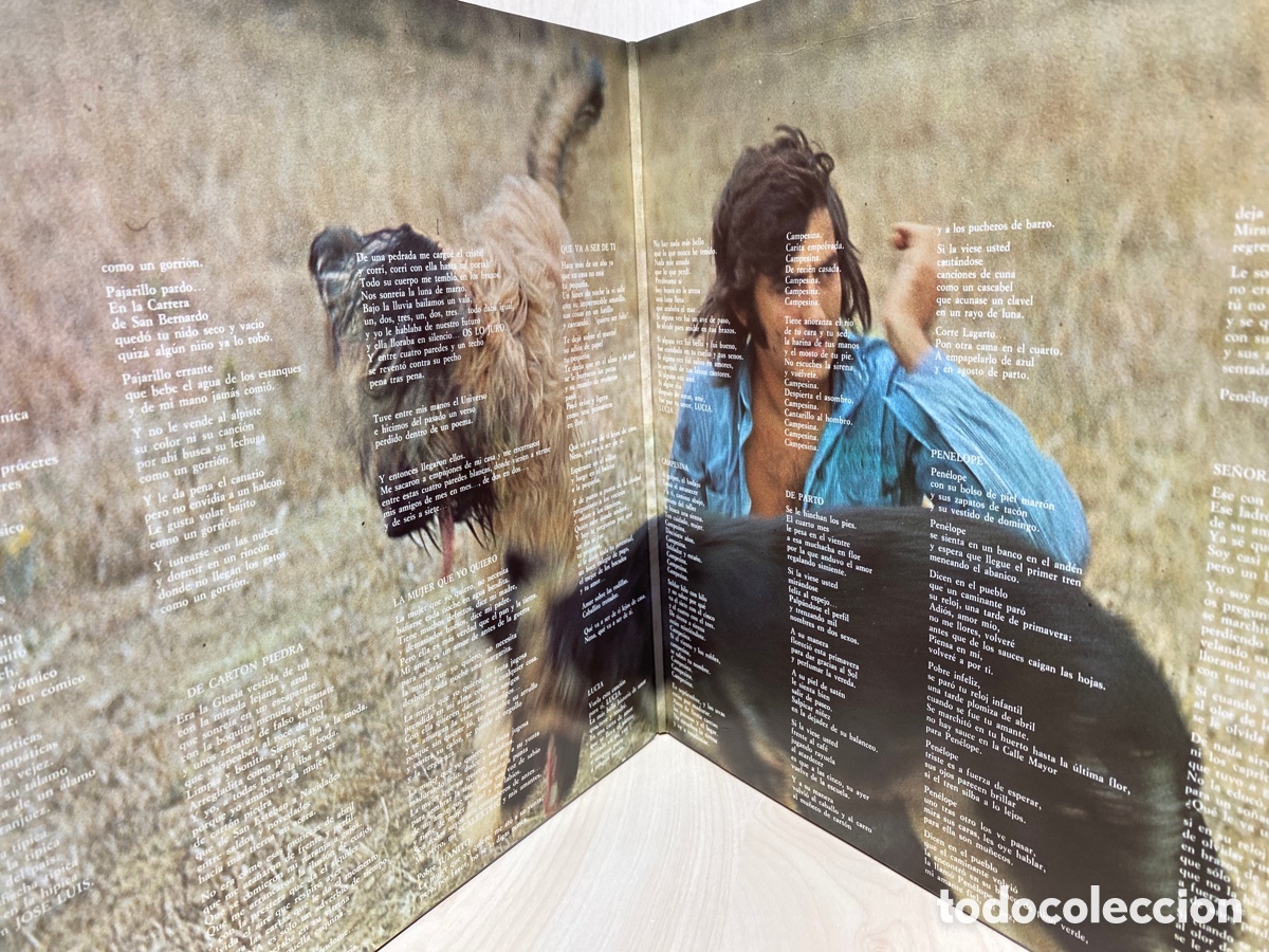 Discos de vinilo: Joan Manuel Serrat - La Mujer Que Yo Quiero (LP, Comp) - Foto 2