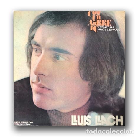 Discos de vinilo: Lluis Llach - Com un Arbre Nu LP - Foto 1